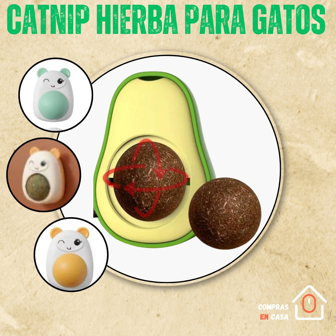 Catnip Para Gatos